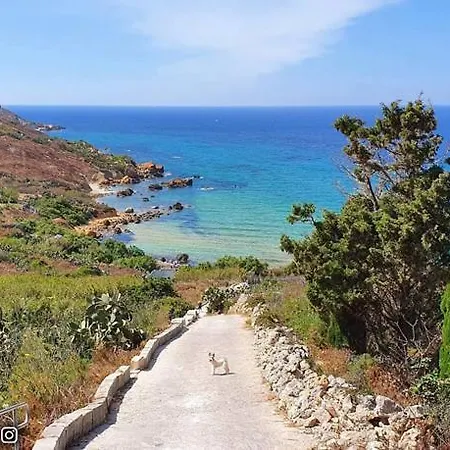 Lejlighed The Podium *